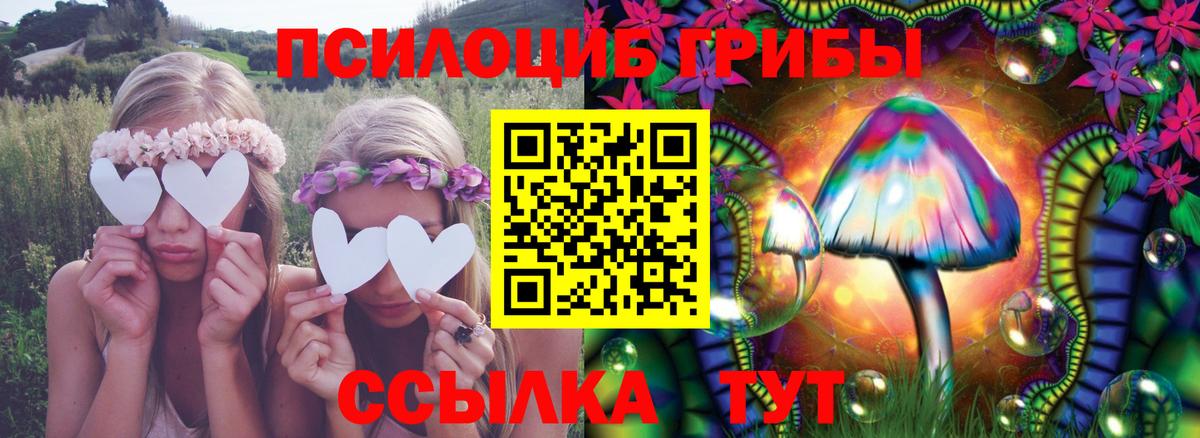 Заволжье  Галлюциногенные грибы Psilocybine cubensis  Вход с VPN  Псилоцибиновые грибы мухоморы 