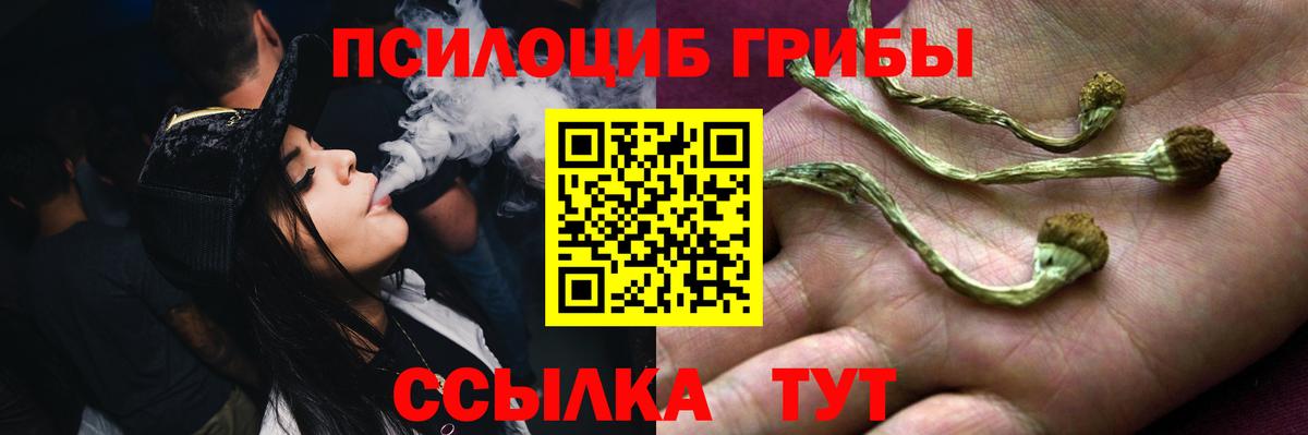 Псилоцибиновые грибы Magic Shrooms Заволжье